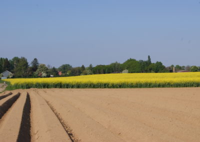 Artois gîtes Arleux en Gohelle