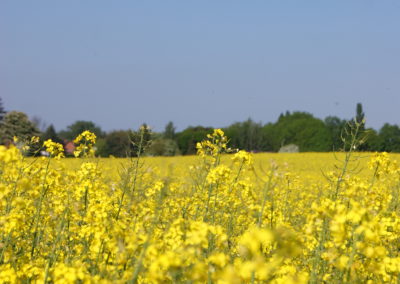 Artois gîtes Arleux en Gohelle